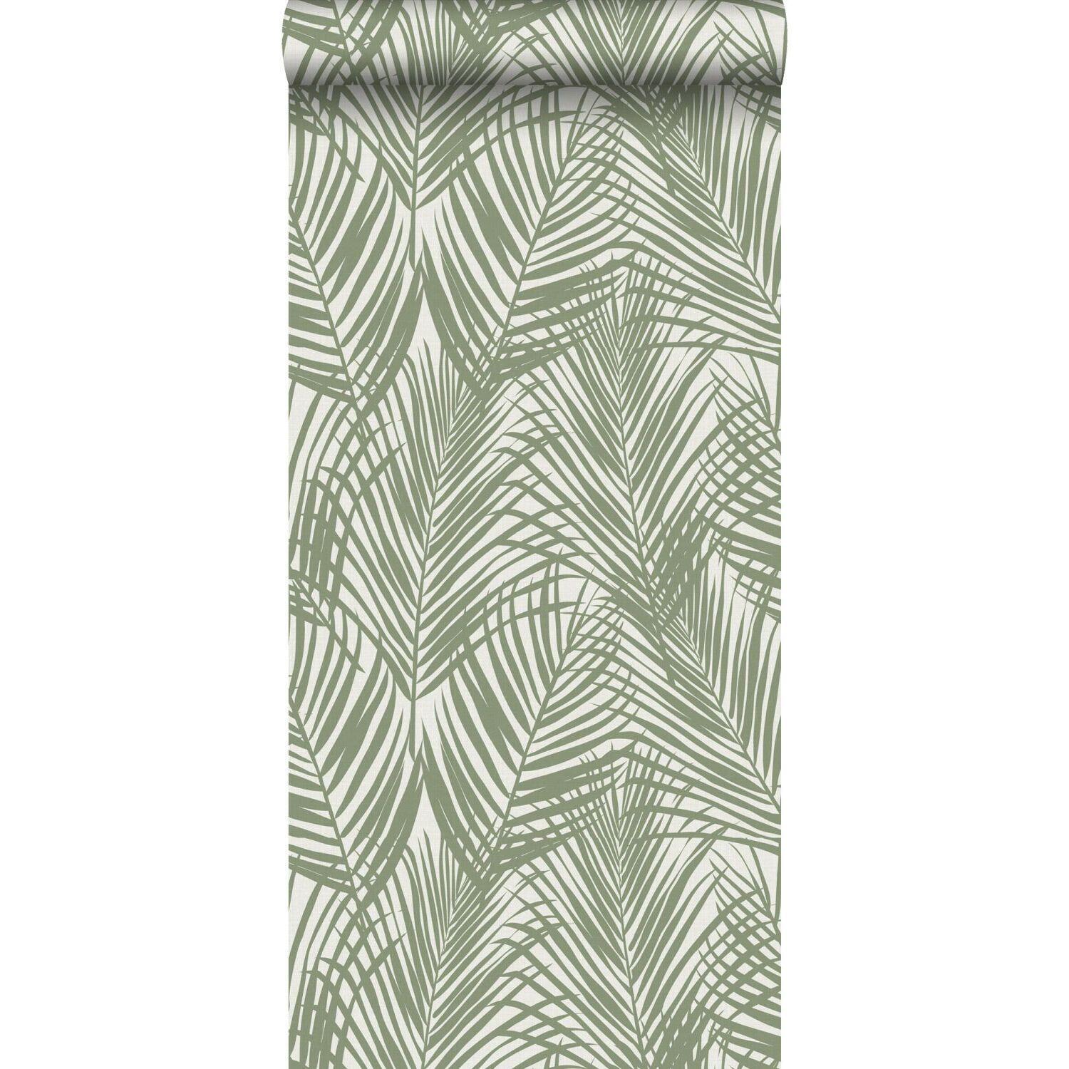 Carta da parati Foglie palma verde oliva, 53 cm x 10.05 m