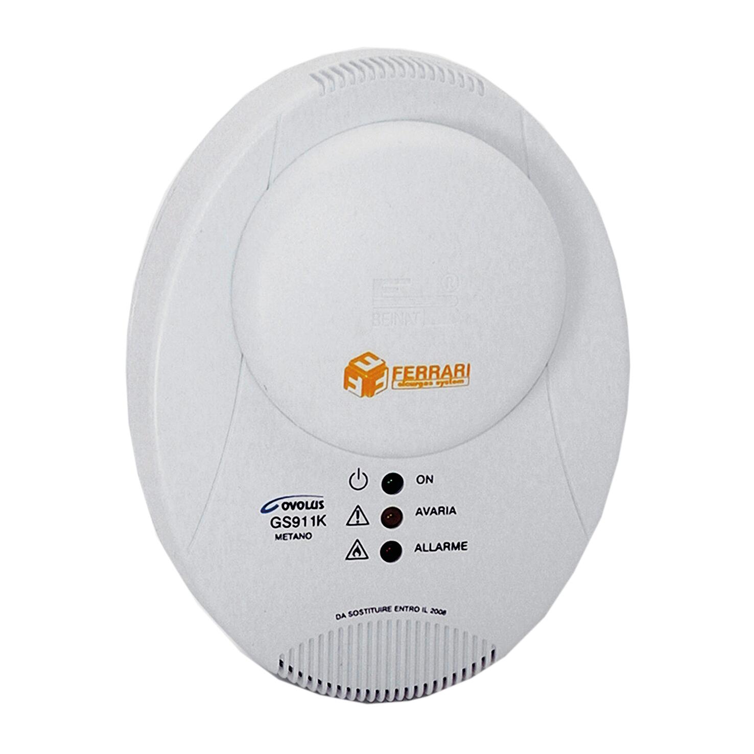 HT66 Mini Rilevatore Di Gas Per Uso Domestico Per Gas Infiammabili Con Sonda Lunga, Tester Di Monitoraggio Delle Perdite Di Gas PPM, Strumento Di Allarme Concentrazione Di Metano