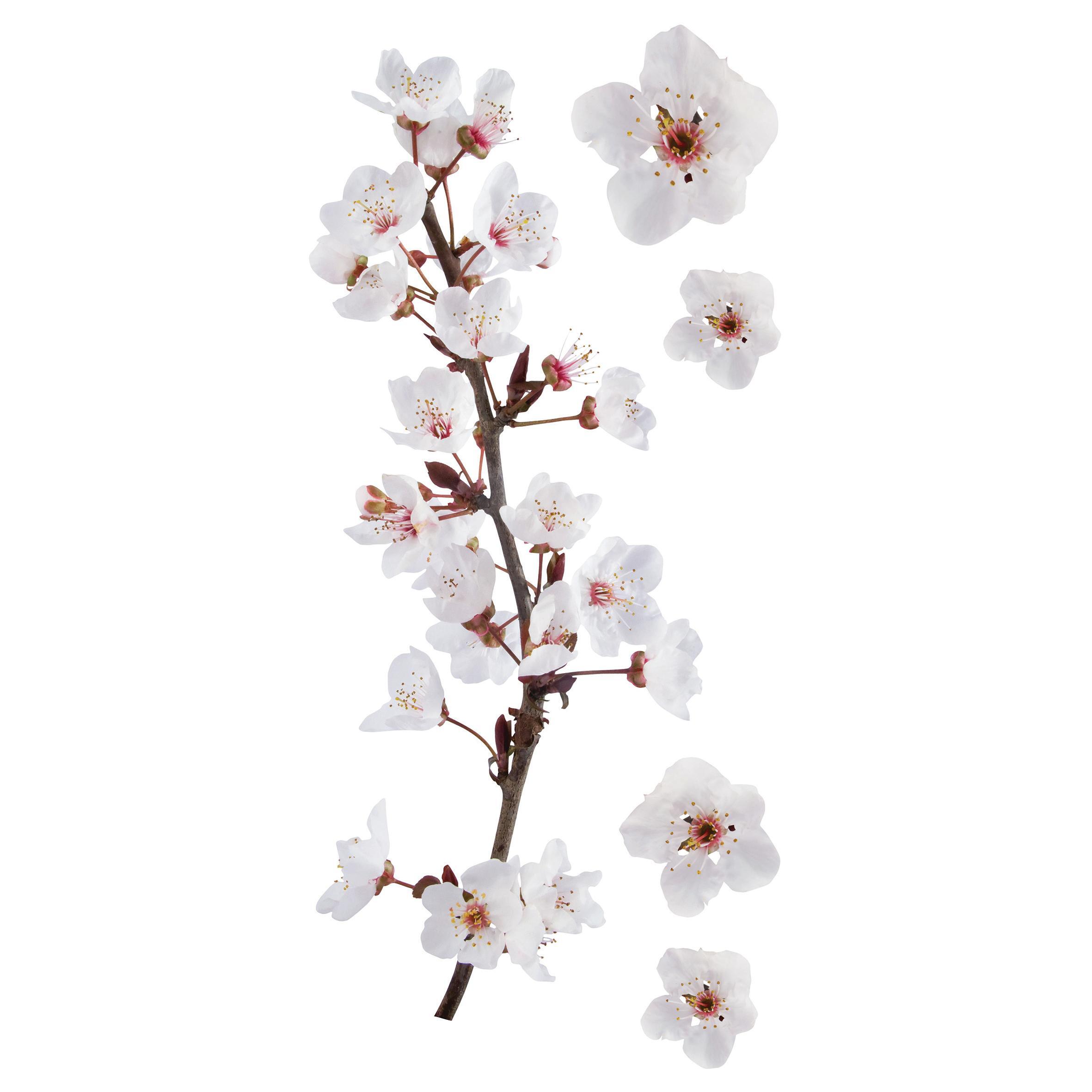 Sticker Photographic blossom 15x31 cm - 4