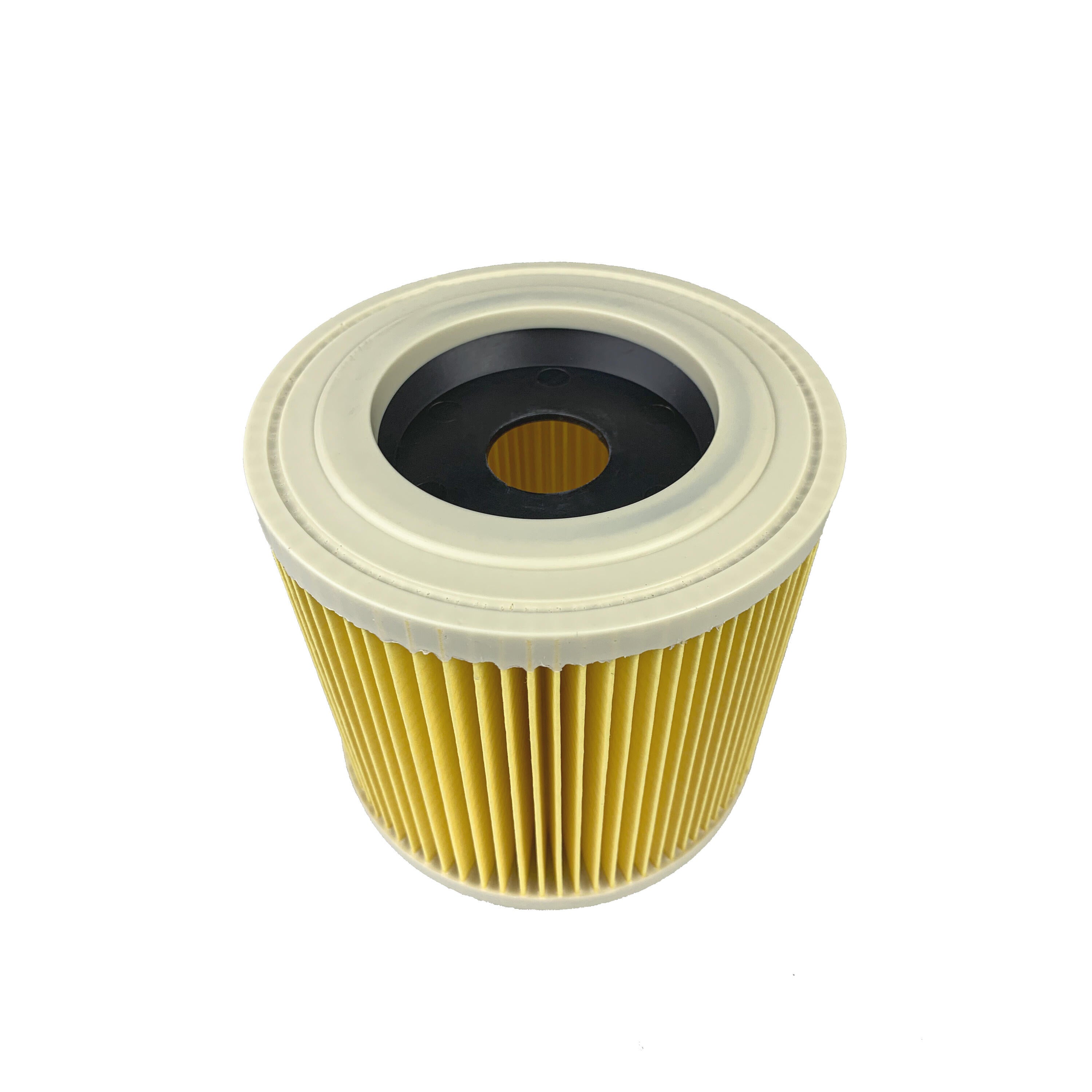 Filtro per aspiratore acqua DEXTER DXC 01 | Leroy Merlin