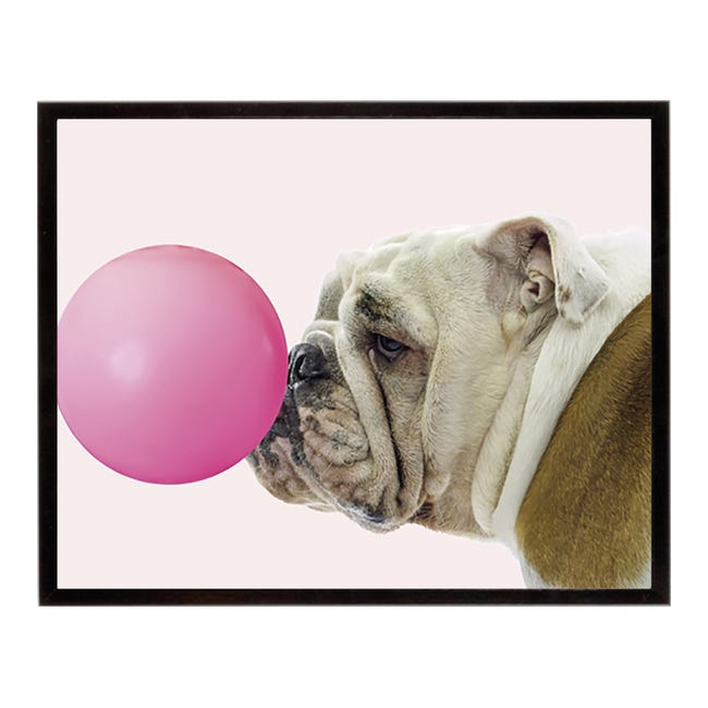 Stampa incorniciata Dog - bubble 40.7x50.7 cm - 1
