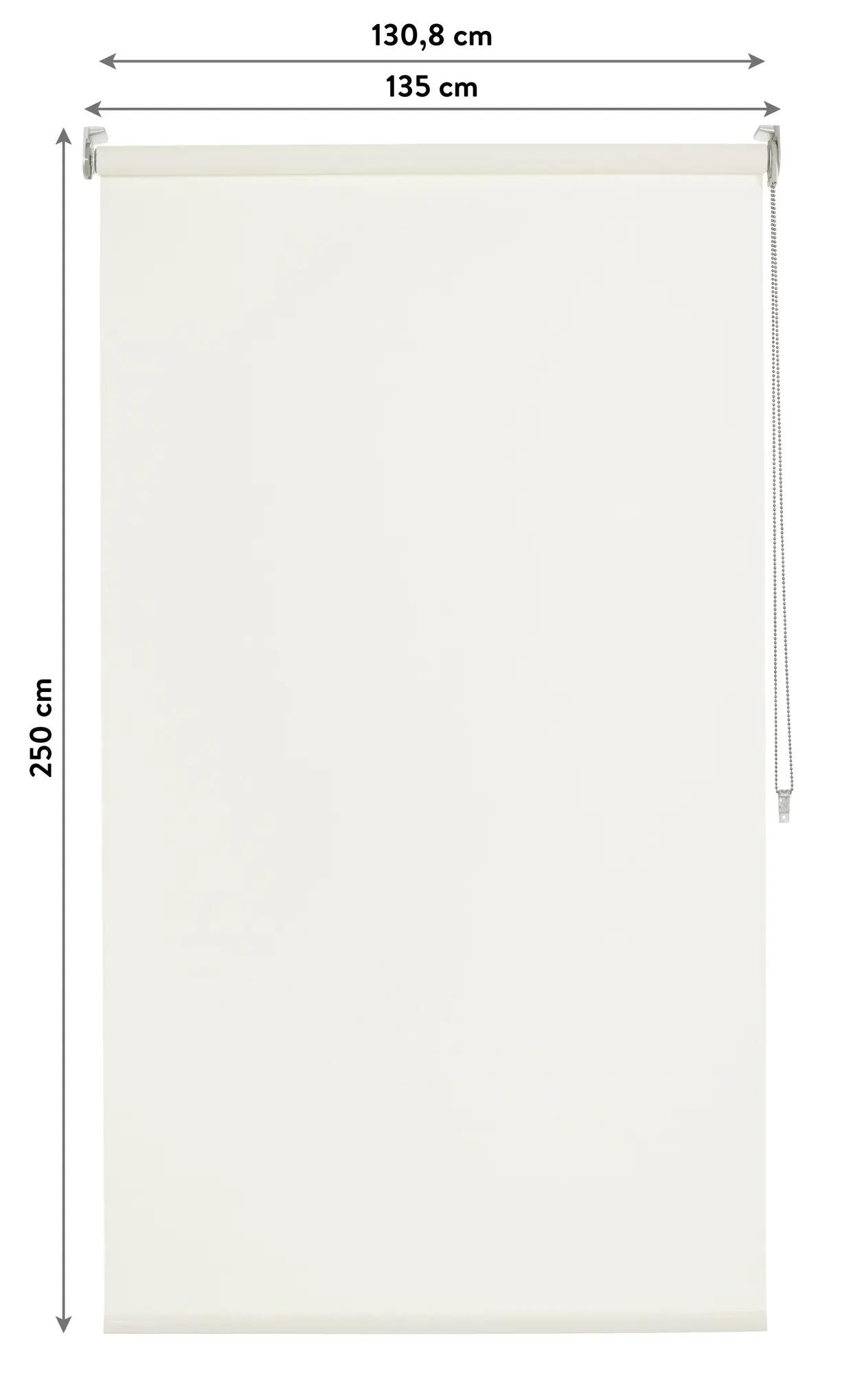 Tenda a rullo filtrante INSPIRE Brasilia bianco 135 x 250 cm - 2