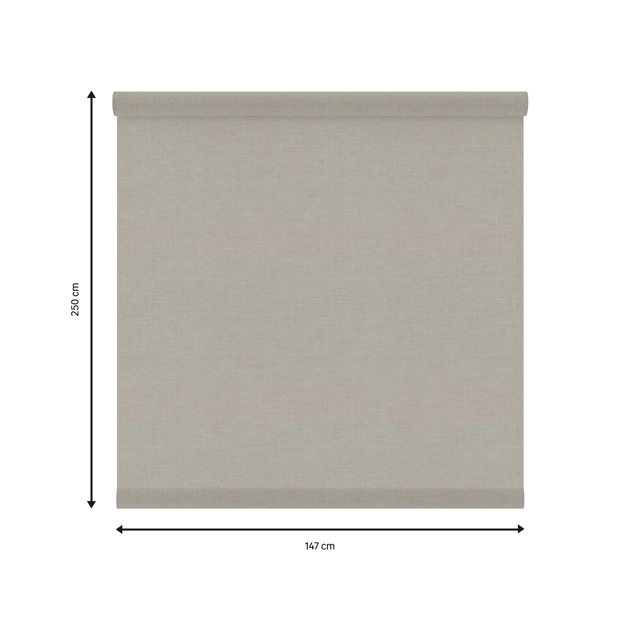 Tessuto per tende a rullo filtrante INSPIRE Brisbane beige 147 x 250 cm - 1
