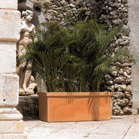 Terra Crown Cassetta Portafiori Da Balcone In Plastica Con Fissaggio - 39 Cm, Colori Vari