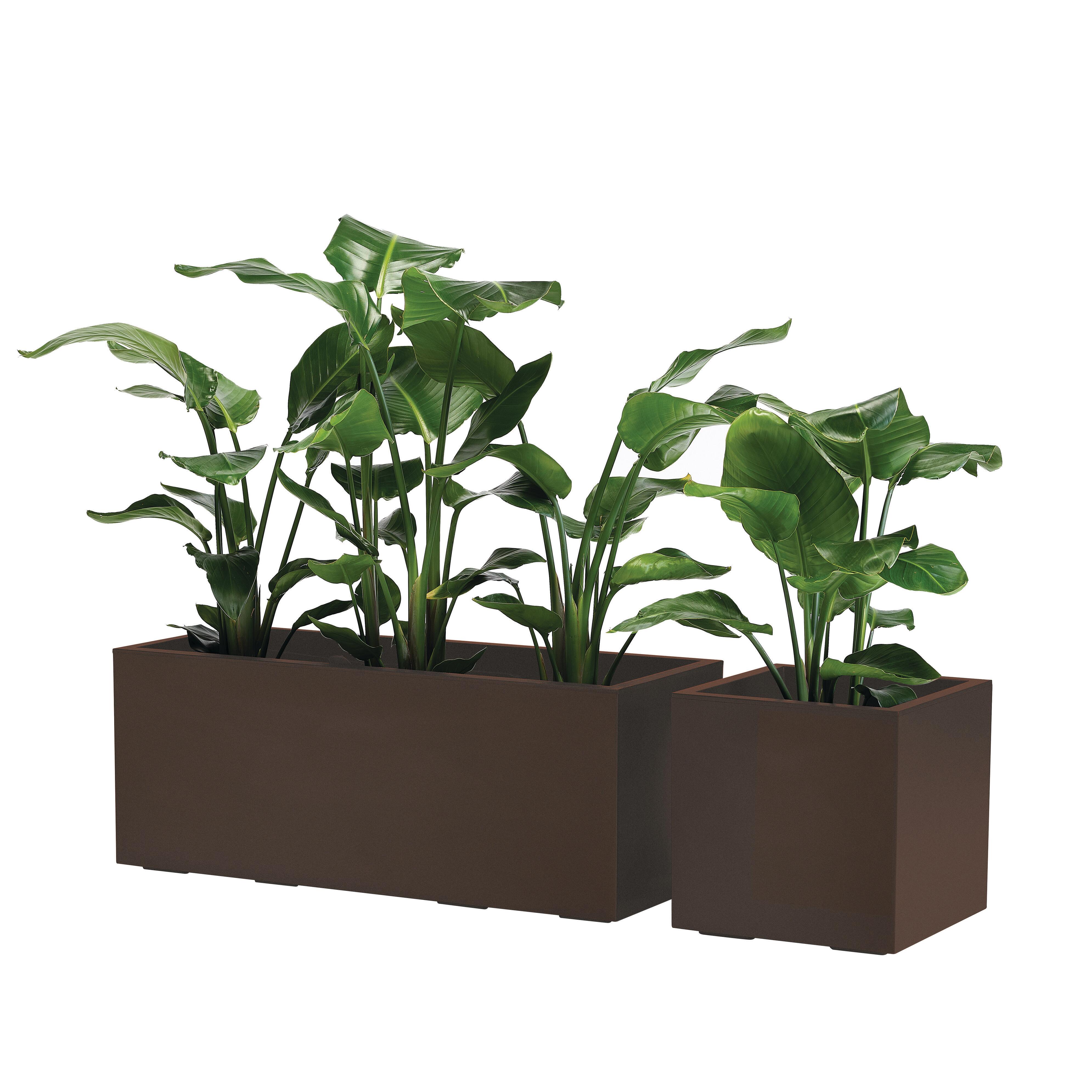 Vaso Kebe Greener in plastica colore RUGGINE H 40 cm, L 40 x P 40 cm ...