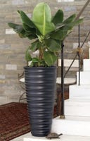PROSPERPLAST Pot De Fleurs MILLY Anthracite, Avec Réservoir, 23,9 X 23 9 X 19 7 Cm Contenance 7 L 91528786 PROSPERPLAST Pot De Fleurs MILLY Anthracite, Avec Réservoir, 23,9 X 23 9 X 19 7 Cm Contenance 7 L 91528786