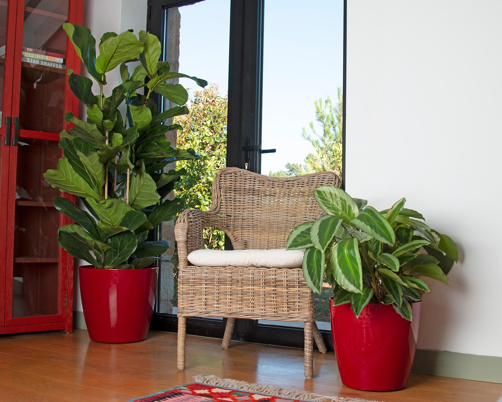 ARTEVASI - Vaso Per Fiori Havana Horizon - 50 X H 41,5 Cm - 60 L - Calcare