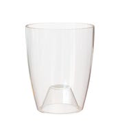 1 PIANTA DI ORCHIDEA PHALAENOPSIS COLORE ASSORTITO VASO 12CM 2 RAMI - Foto 11