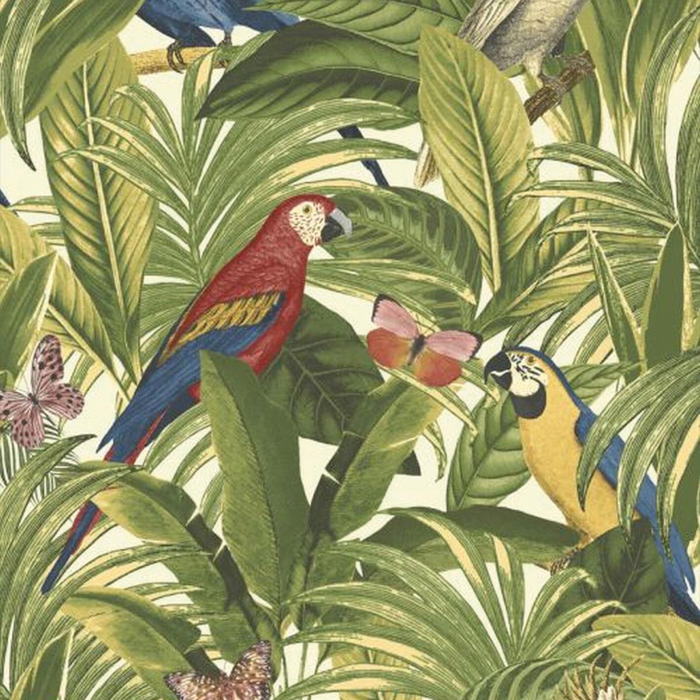 Carta Da Parati Giungla E Pappagalli Verde 53 Cm X 10 M Leroy Merlin
