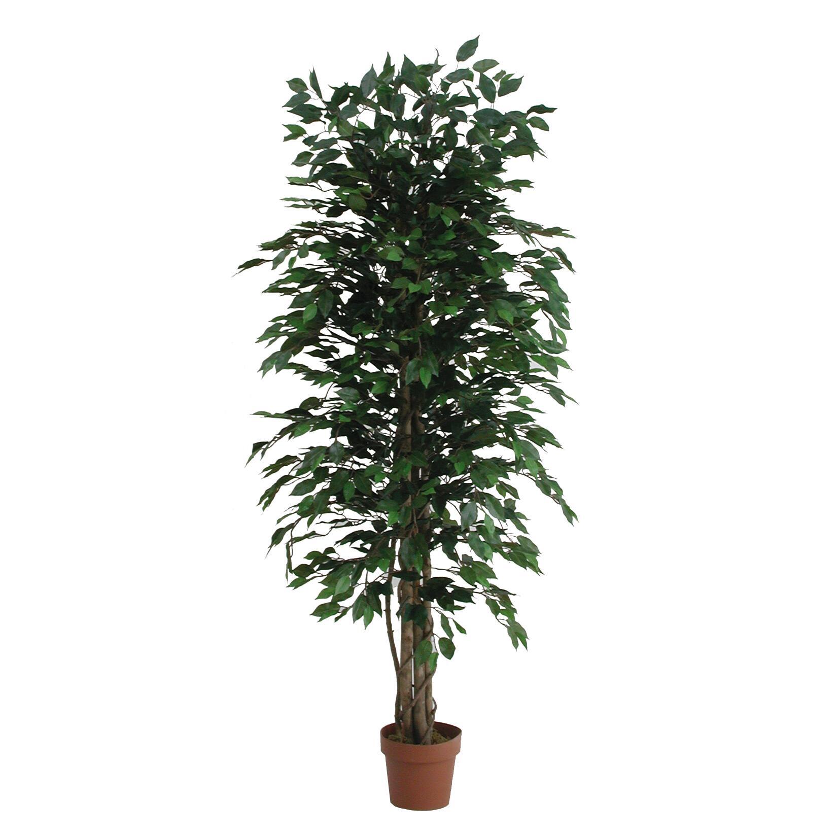 Piante Artificiali Al Miglior Prezzo Leroy Merlin