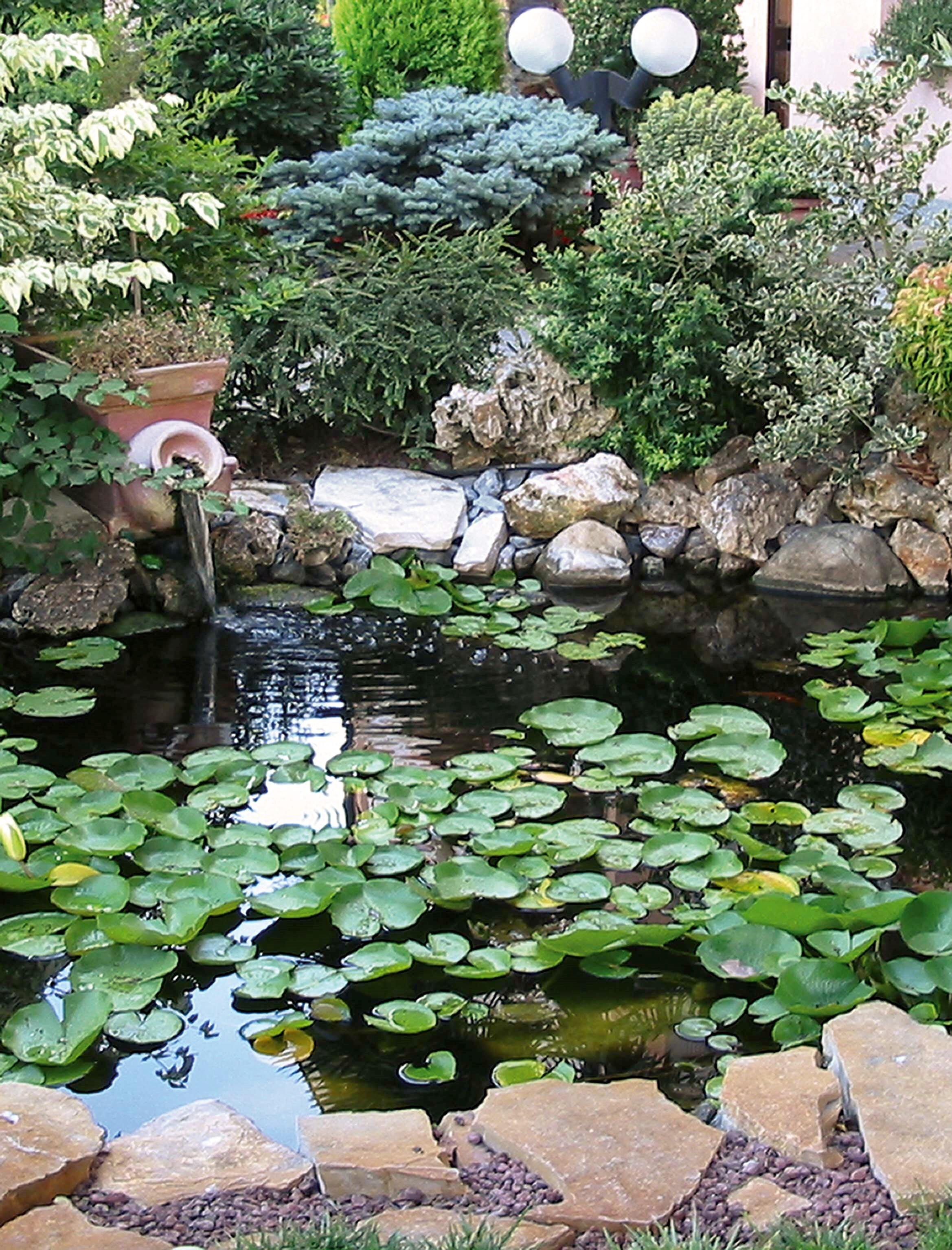 Pompa Per Laghetto Da Giardino Ubbink Xtra 3900 - Portata 3900 L/h, Altezza 4.2m, Con Accessori - Foto 7