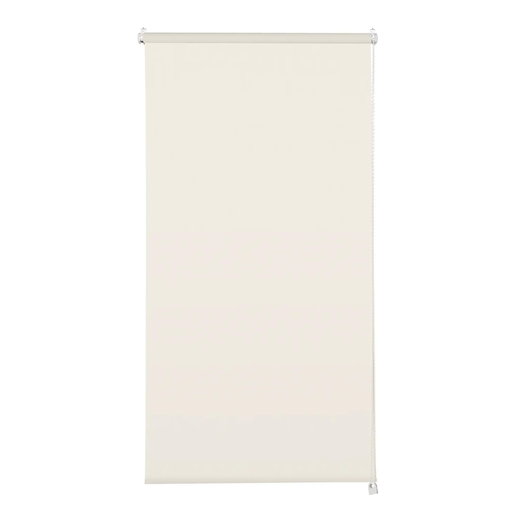 Tenda a rullo filtrante INSPIRE Screen lino 135 x 250 cm - 1
