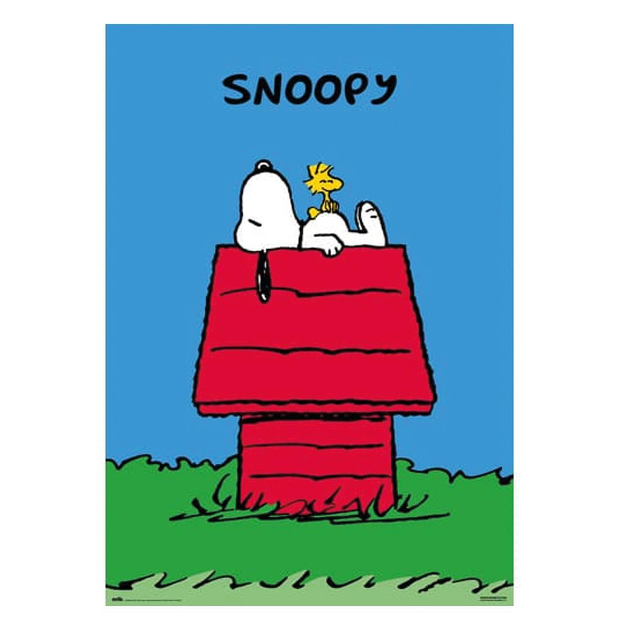 Poster Snoopy 61x91.5 cm
