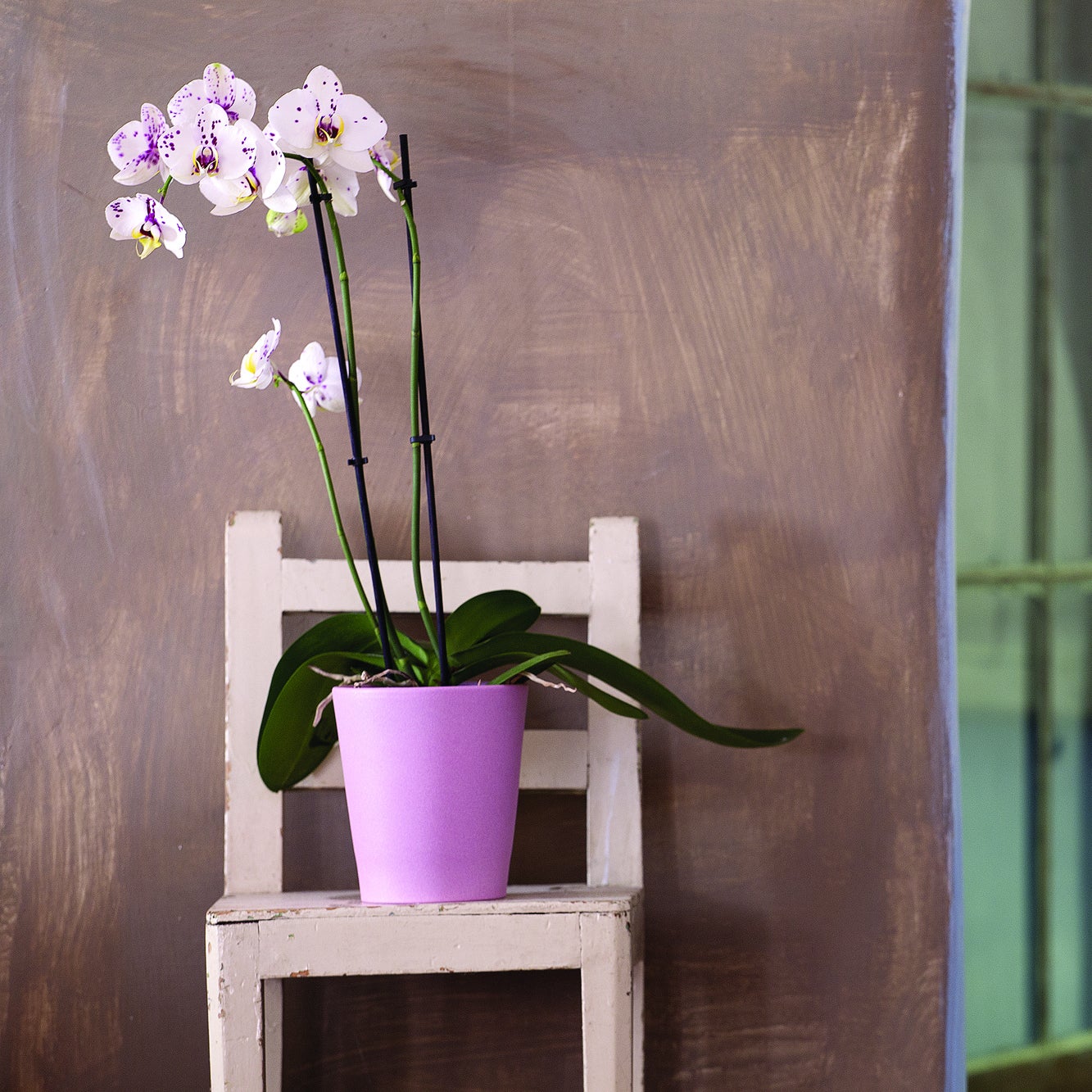 Vaso ORCHIDEA in ceramica liscia colore ROSA 14x13 cm