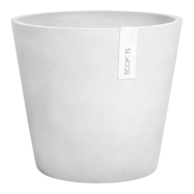 Fioriera Bruges ECOPOTS In Composito Colore Grigio Chiaro H 17 Cm, L 17 Cm L 17 X P 17 Cm 74924185 Fioriera Bruges ECOPOTS In Composito Colore Grigio Chiaro H 17 Cm, L 17 Cm L 17 X P 17 Cm 74924185