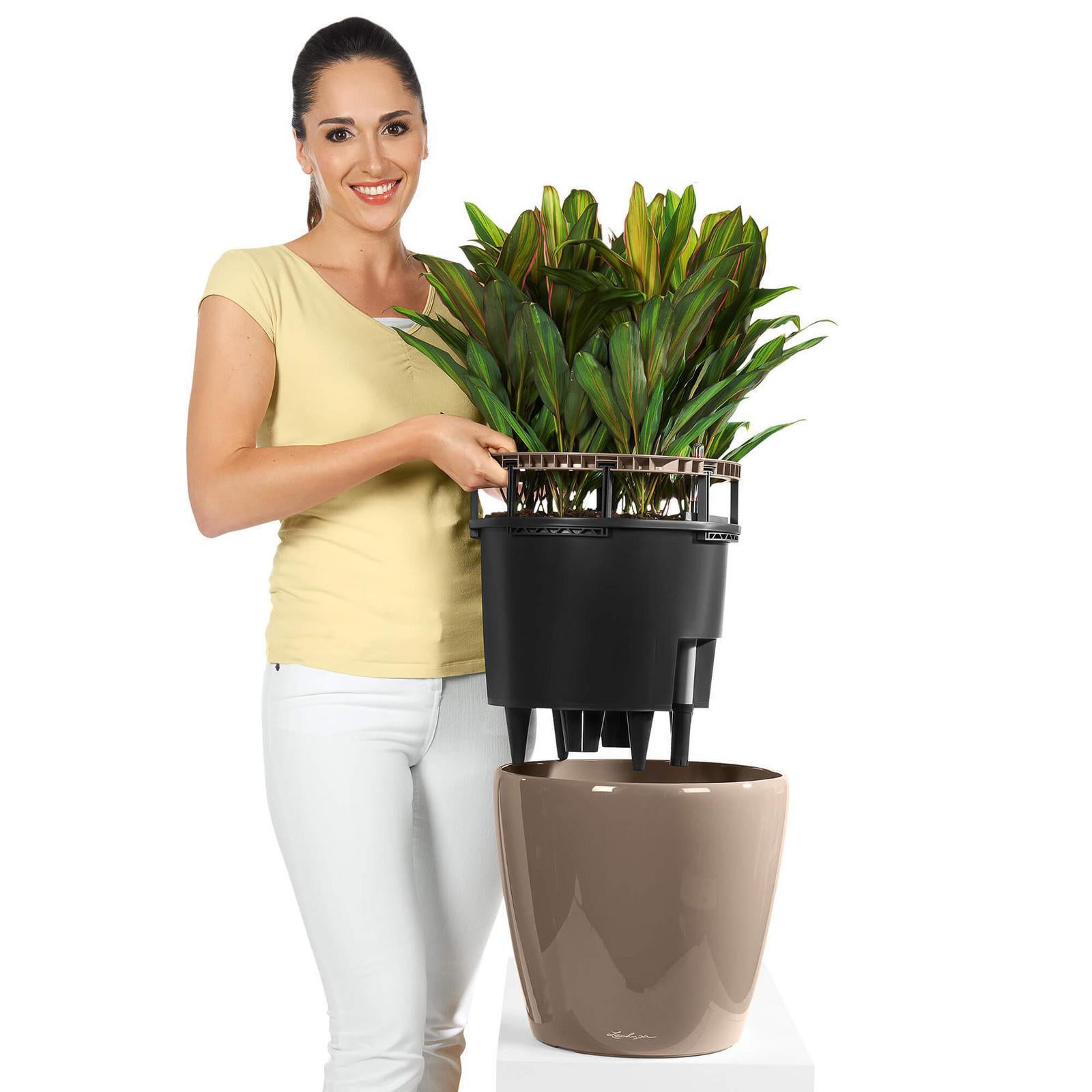 Stefanplast Vaso Cloe Con Riserva D'Acqua, Colore Tortora, 20 Cm – Made In Italy