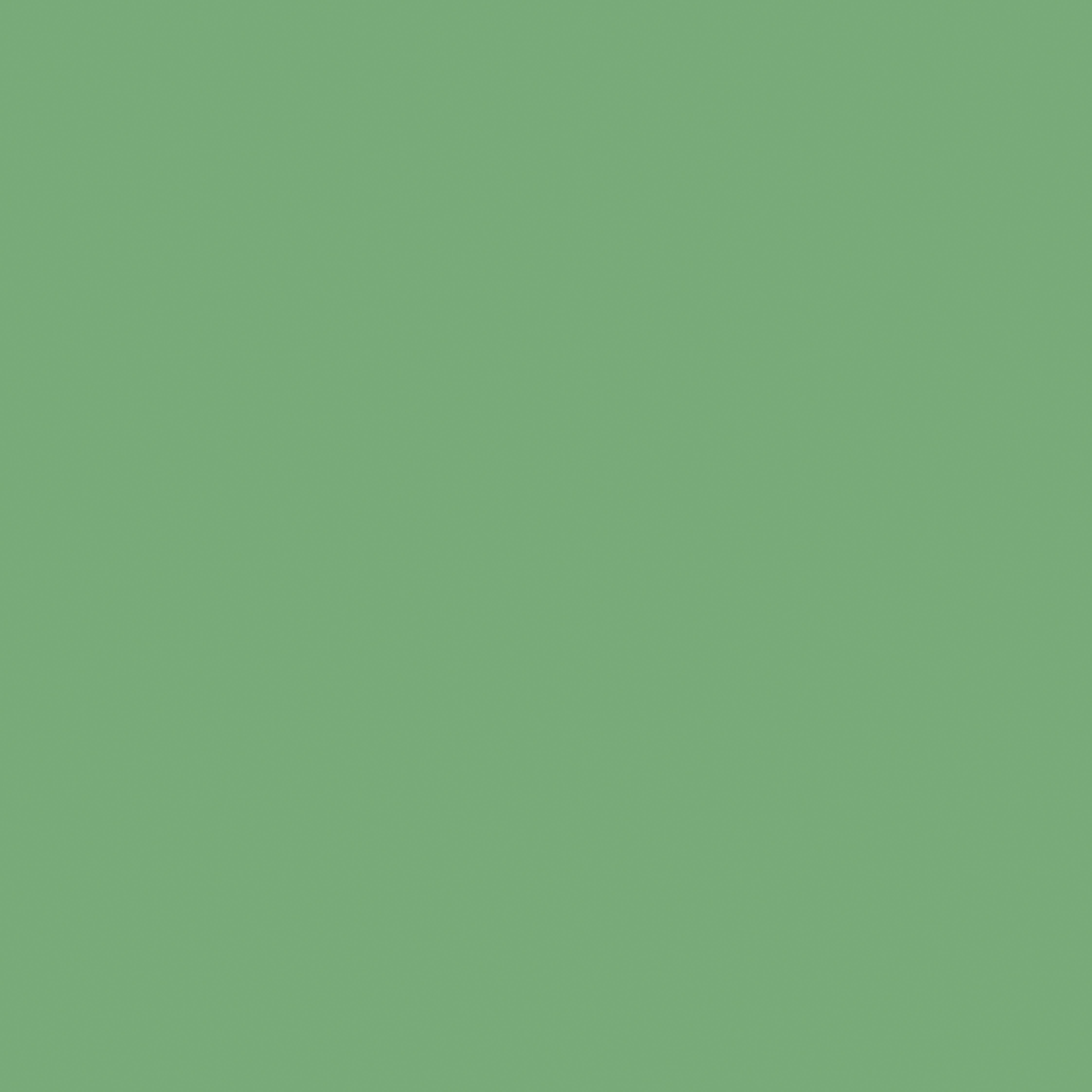 Smalto MAX MEYER poliuretanico satinato verde cina 0.75 L - 1