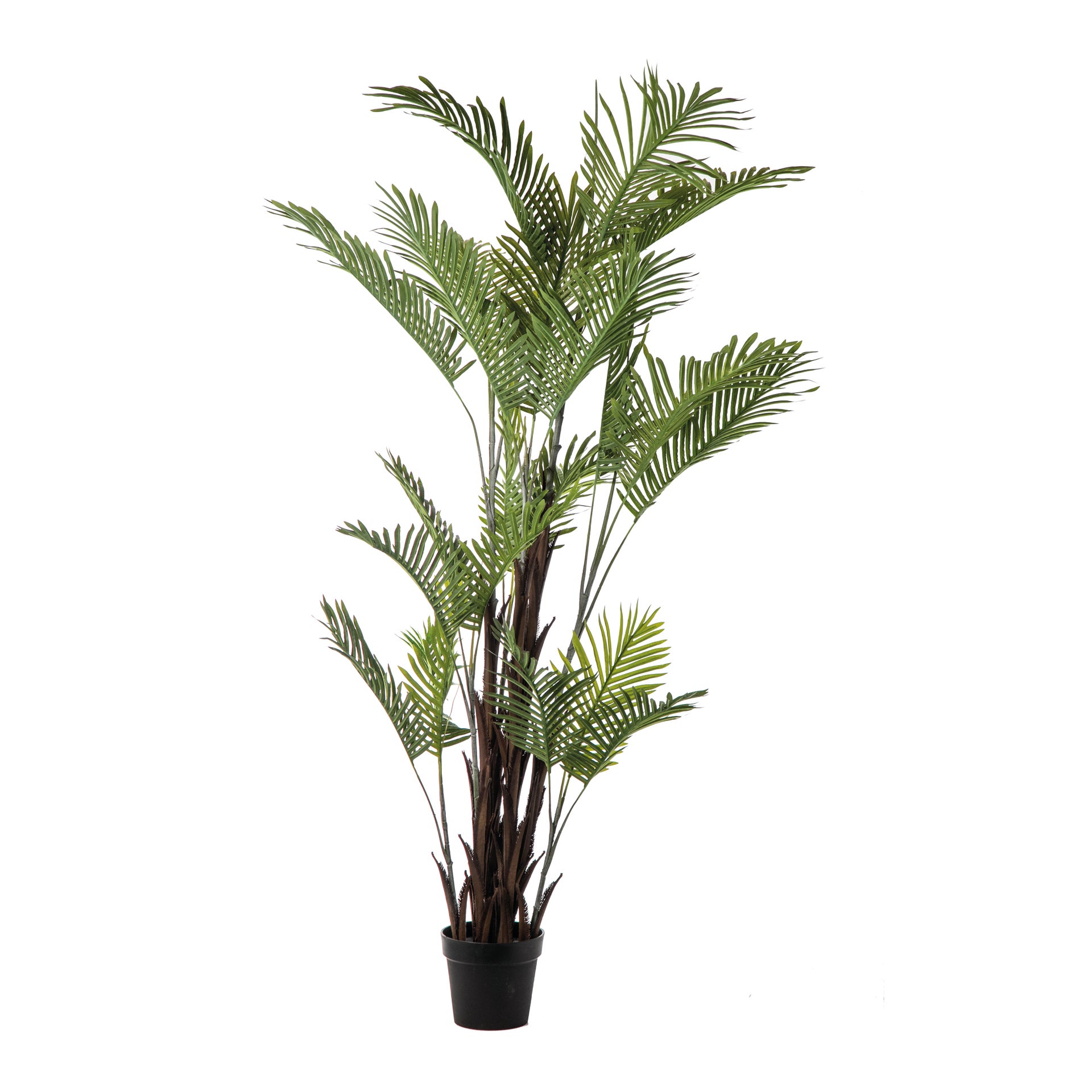 Pianta artificiale H 190 cm