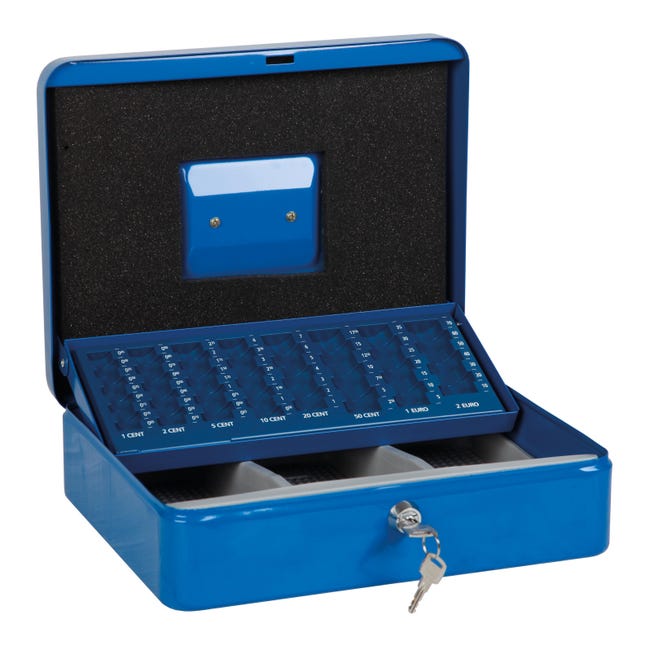 Cassetta porta valori TECHNOMAX euro4e in acciaio blu L 30 x P 24 x H 9 cm - 1