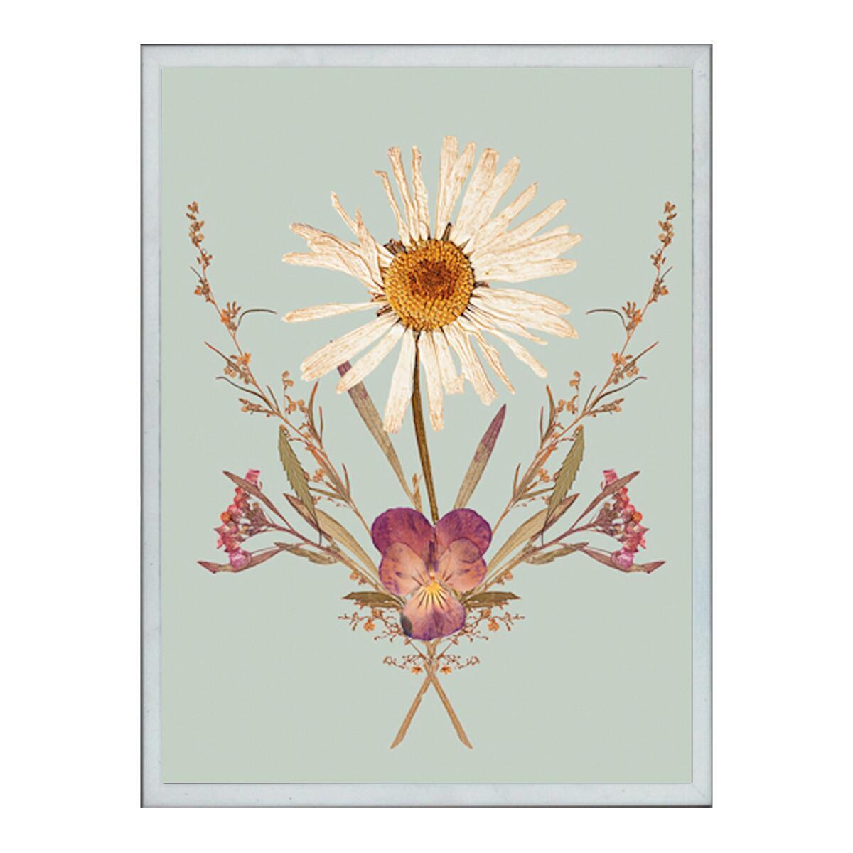 Stampa incorniciata Sun daisy 30.7x40.7 cm