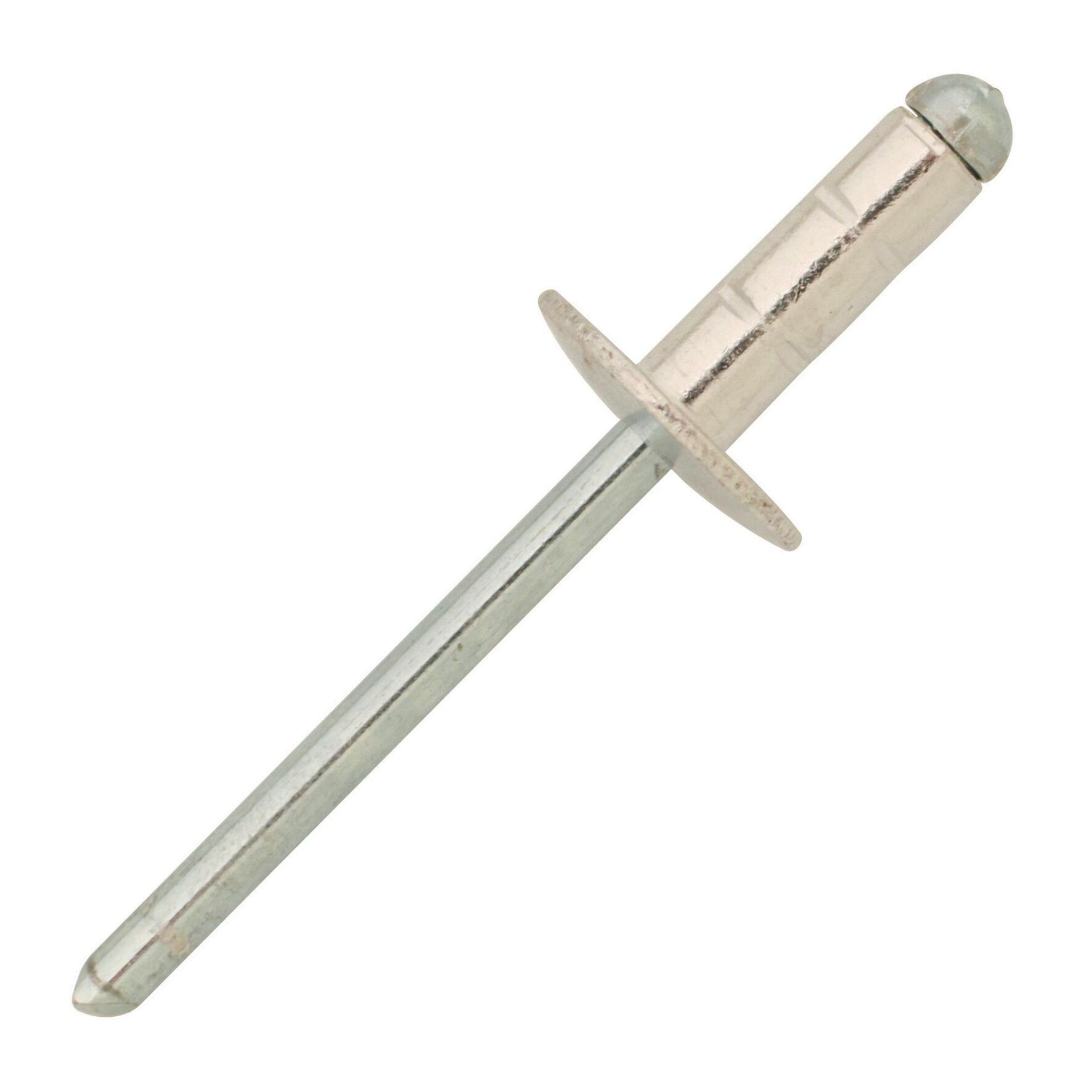 Rivetti in acciaio L 20 x H 4.8 mm Ø 4.8 mm 10 pezzi