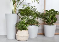 Vaso Paris ECOPOTS in composito colore grigio chiaro H 40.5 cm, L 80 x Vaso Paris ECOPOTS in composito colore grigio chiaro H 40.5 cm, L 80 x